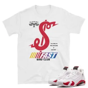 Jordan Retro 14 Rip Hamilton Sneaker Tees